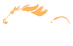 Stallion Digital Media