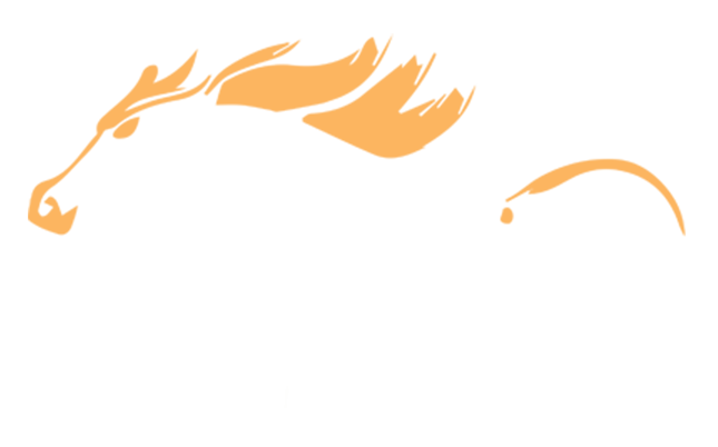Stallion Digital Media