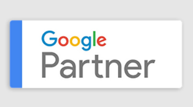Google Parrtner